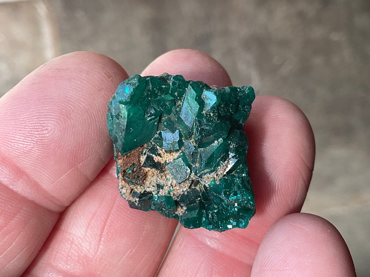 8g Congolese Dioptase Specimen 17C