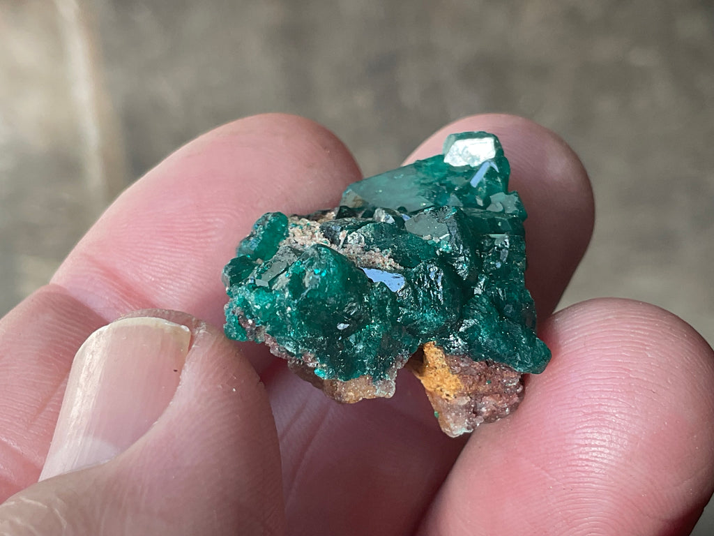 8g Congolese Dioptase Specimen 17C