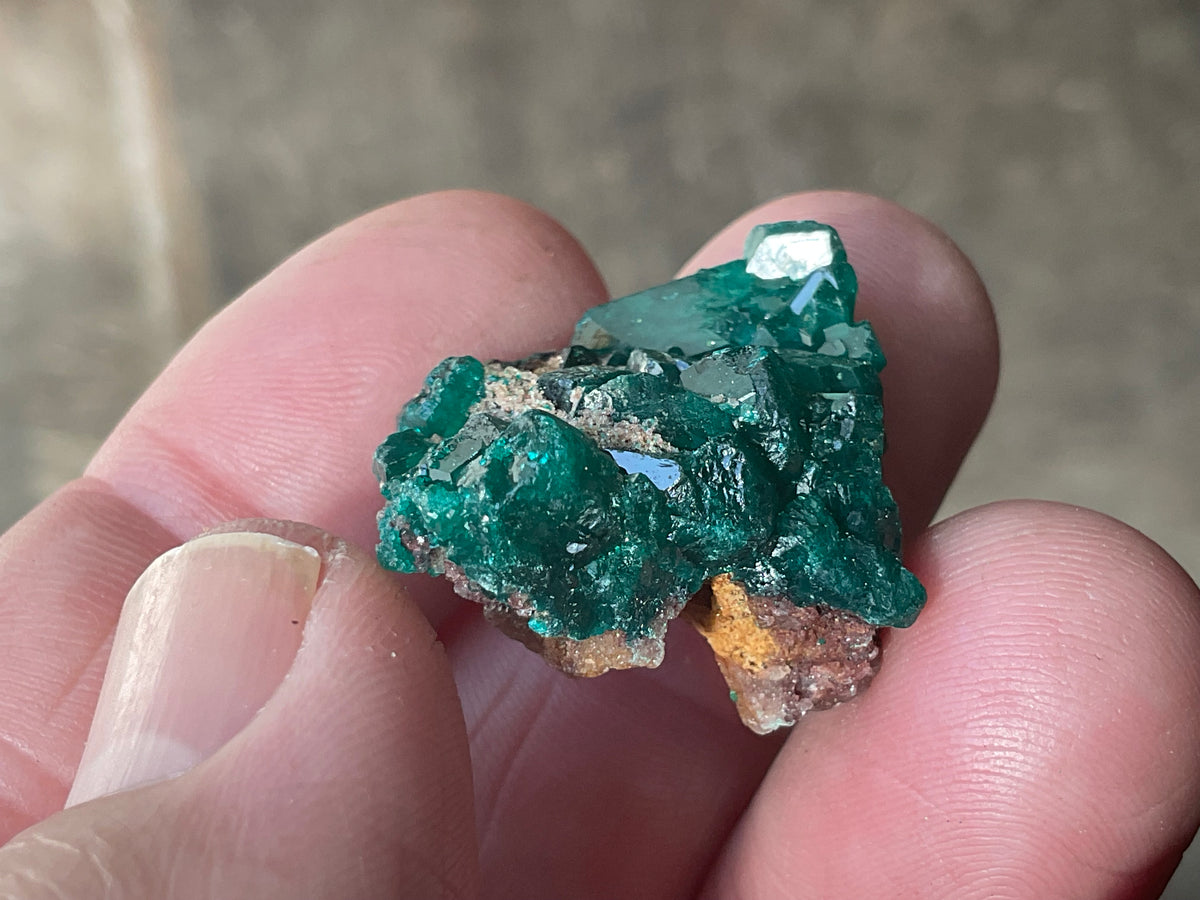 8g Congolese Dioptase Specimen 17C