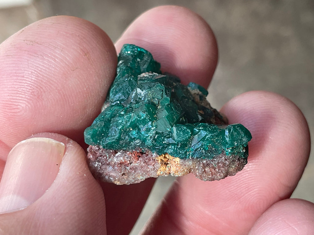 8g Congolese Dioptase Specimen 17C
