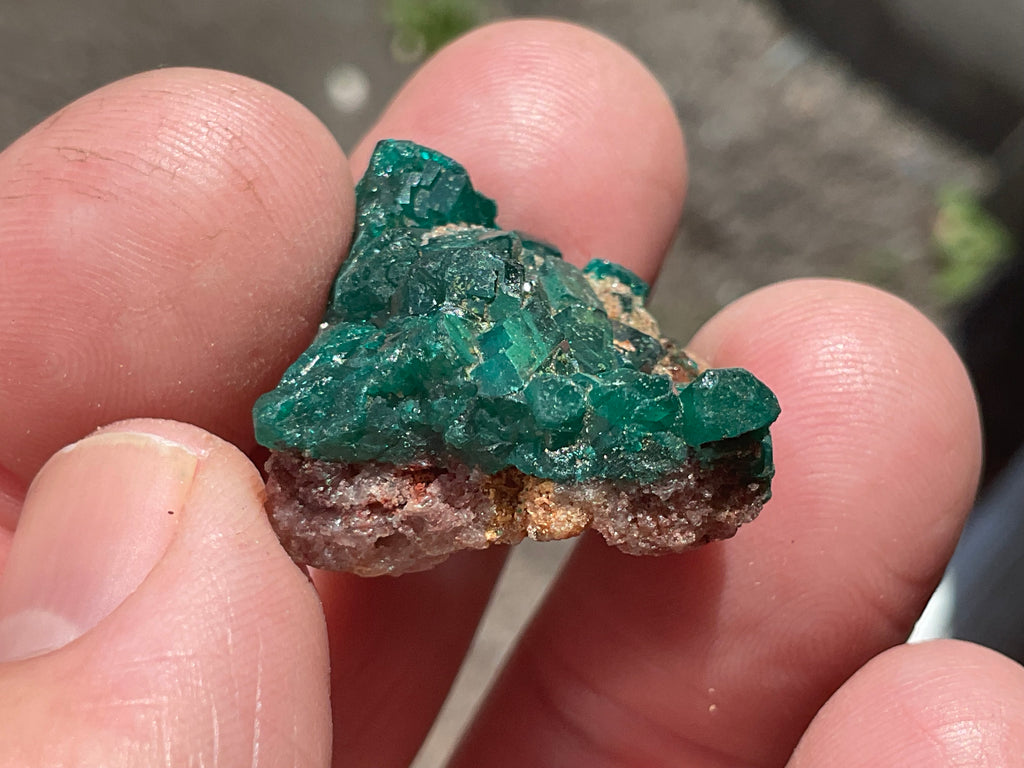 8g Congolese Dioptase Specimen 17C
