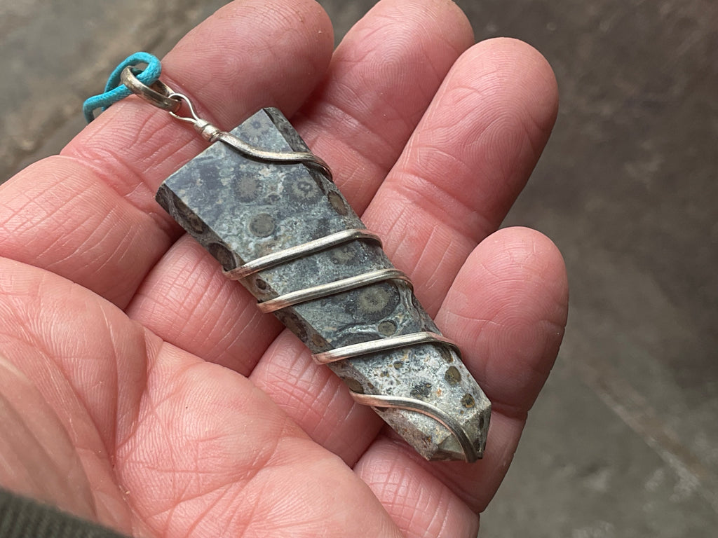 Kambaba Jasper Wire Wrapped Pendant