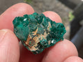 8g Congolese Dioptase Specimen 17C