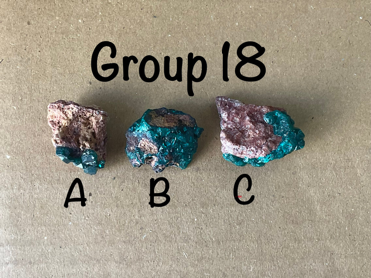 24g Congolese Dioptase Specimen 18C