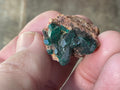 12g Congolese Dioptase Specimen 18A