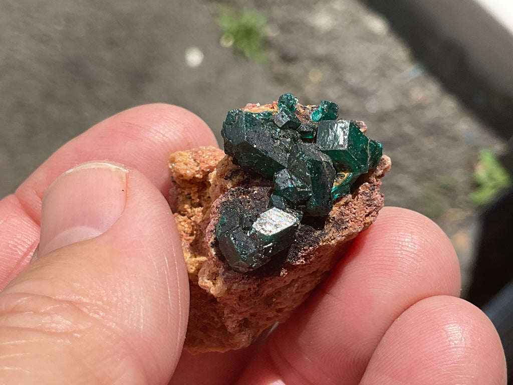 12g Congolese Dioptase Specimen 18A