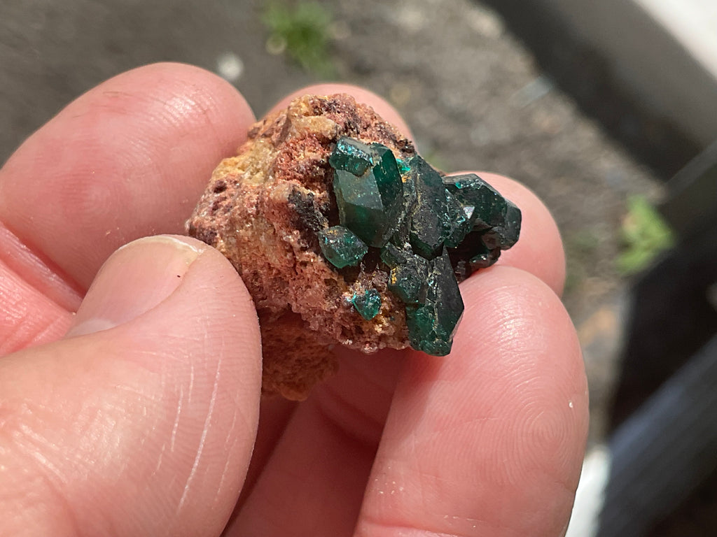 12g Congolese Dioptase Specimen 18A