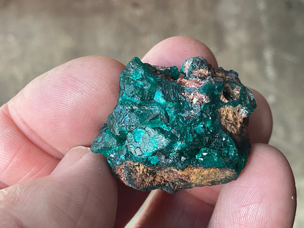 22g Congolese Dioptase Specimen 18B