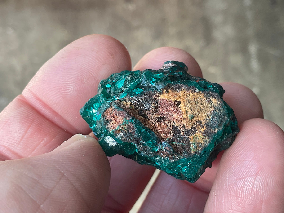 22g Congolese Dioptase Specimen 18B
