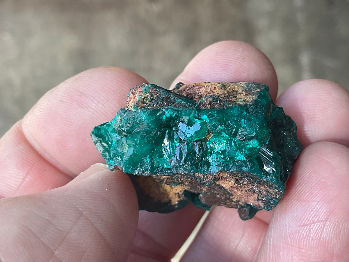 22g Congolese Dioptase Specimen 18B