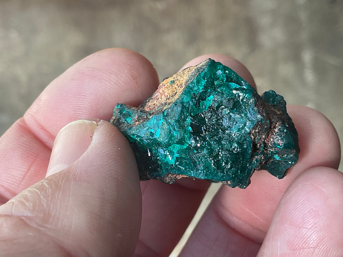 22g Congolese Dioptase Specimen 18B