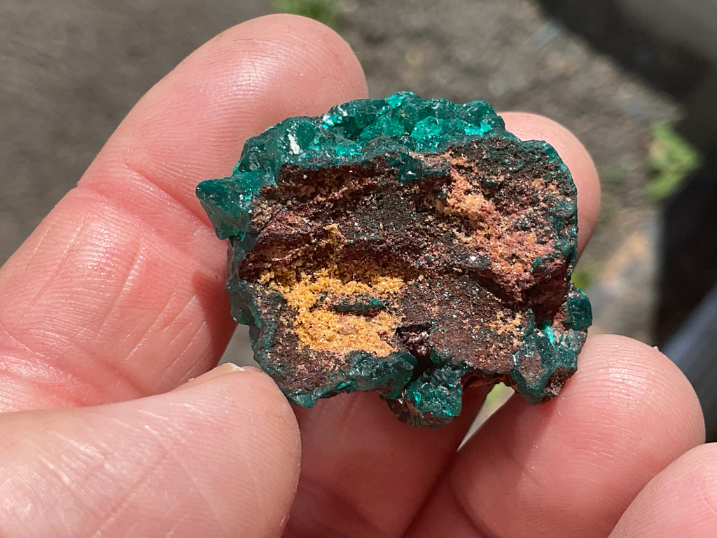 22g Congolese Dioptase Specimen 18B