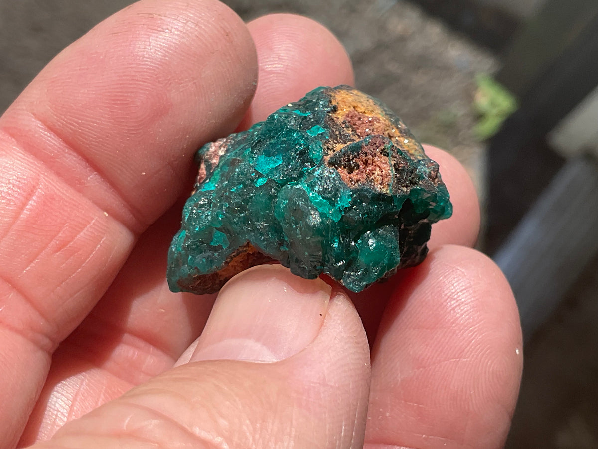 22g Congolese Dioptase Specimen 18B