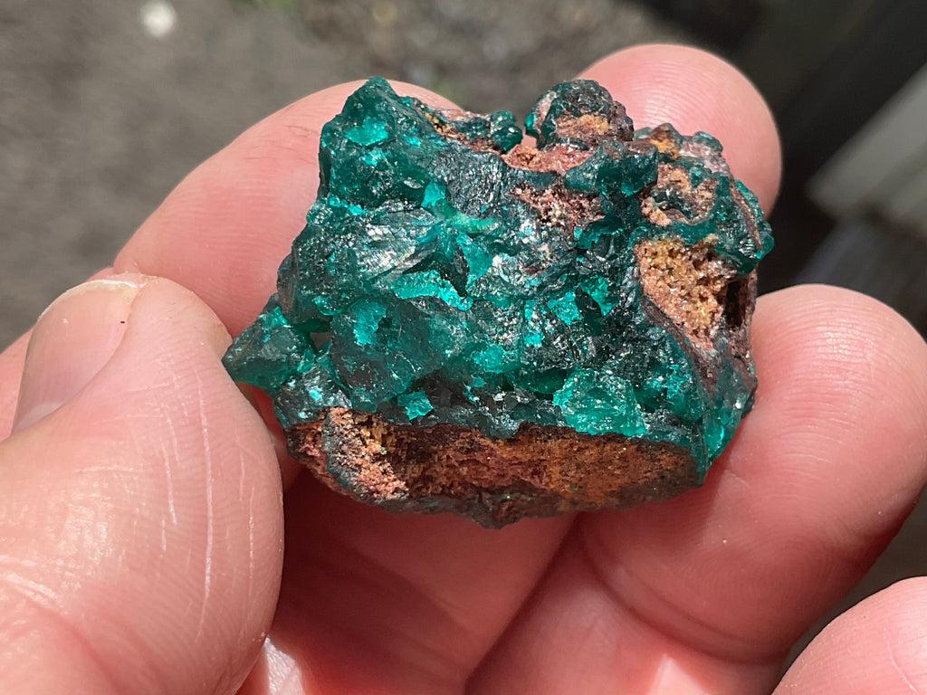 22g Congolese Dioptase Specimen 18B