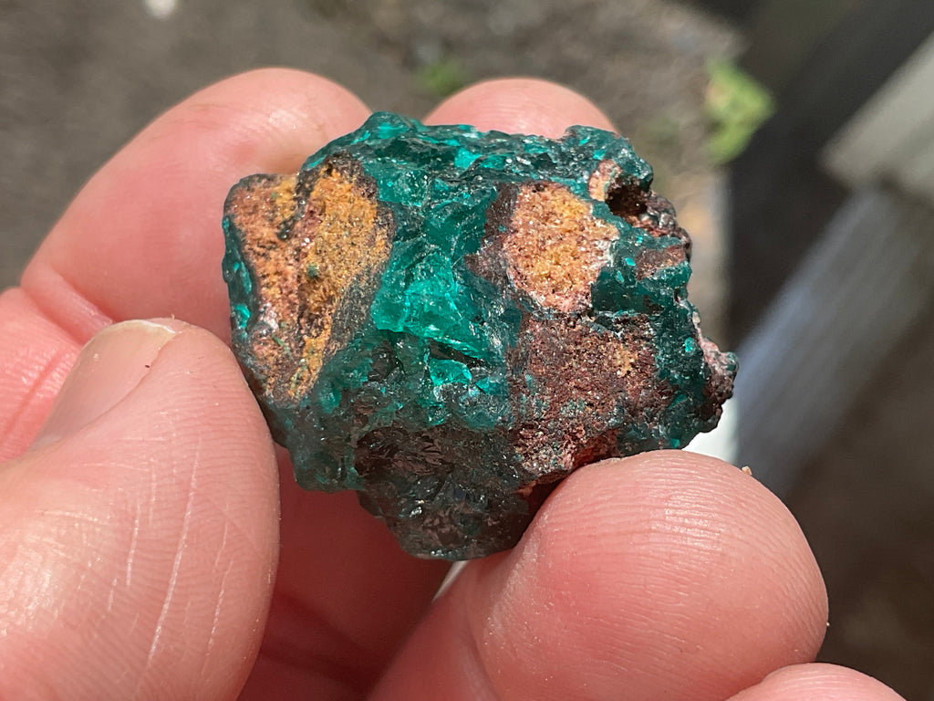 22g Congolese Dioptase Specimen 18B