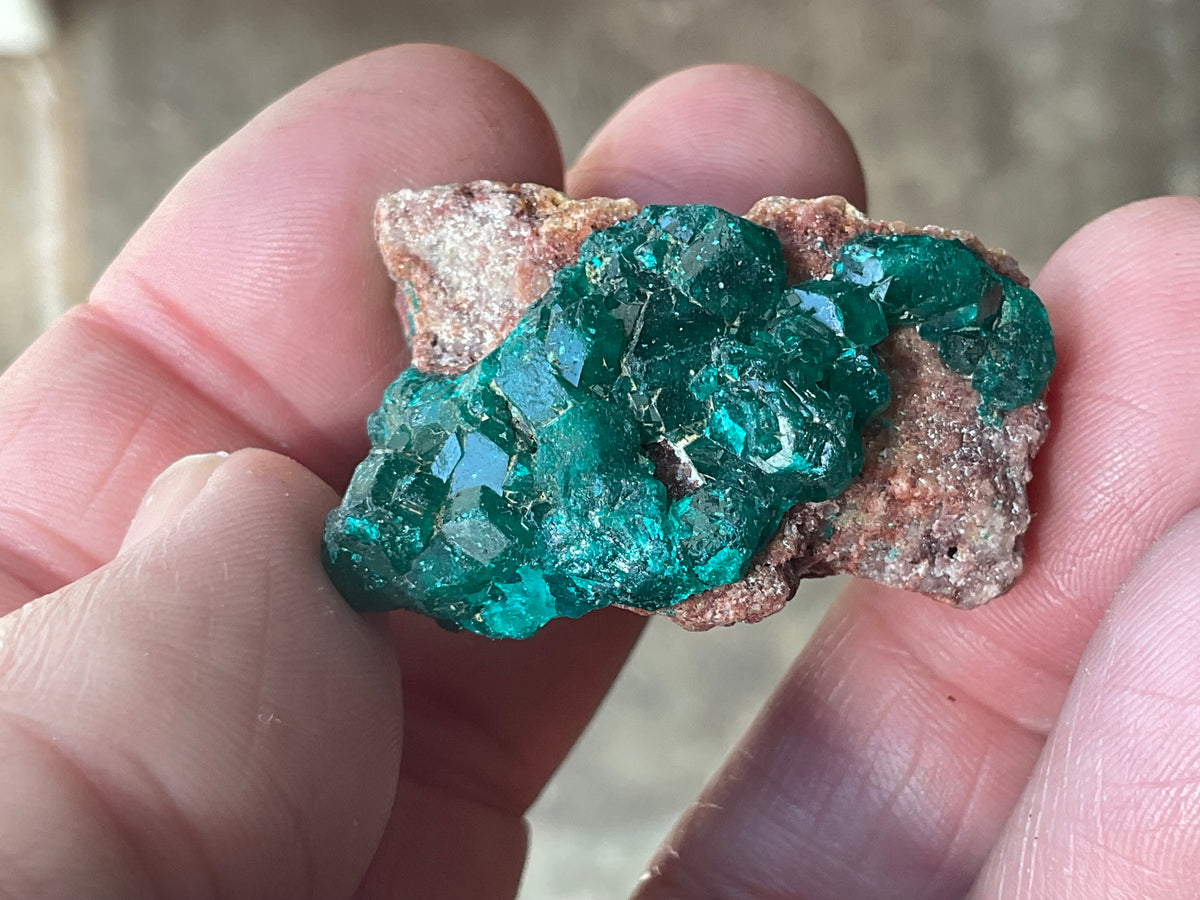 24g Congolese Dioptase Specimen 18C