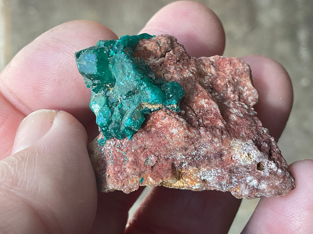 24g Congolese Dioptase Specimen 18C