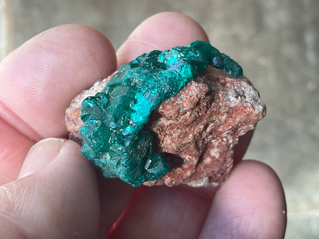24g Congolese Dioptase Specimen 18C