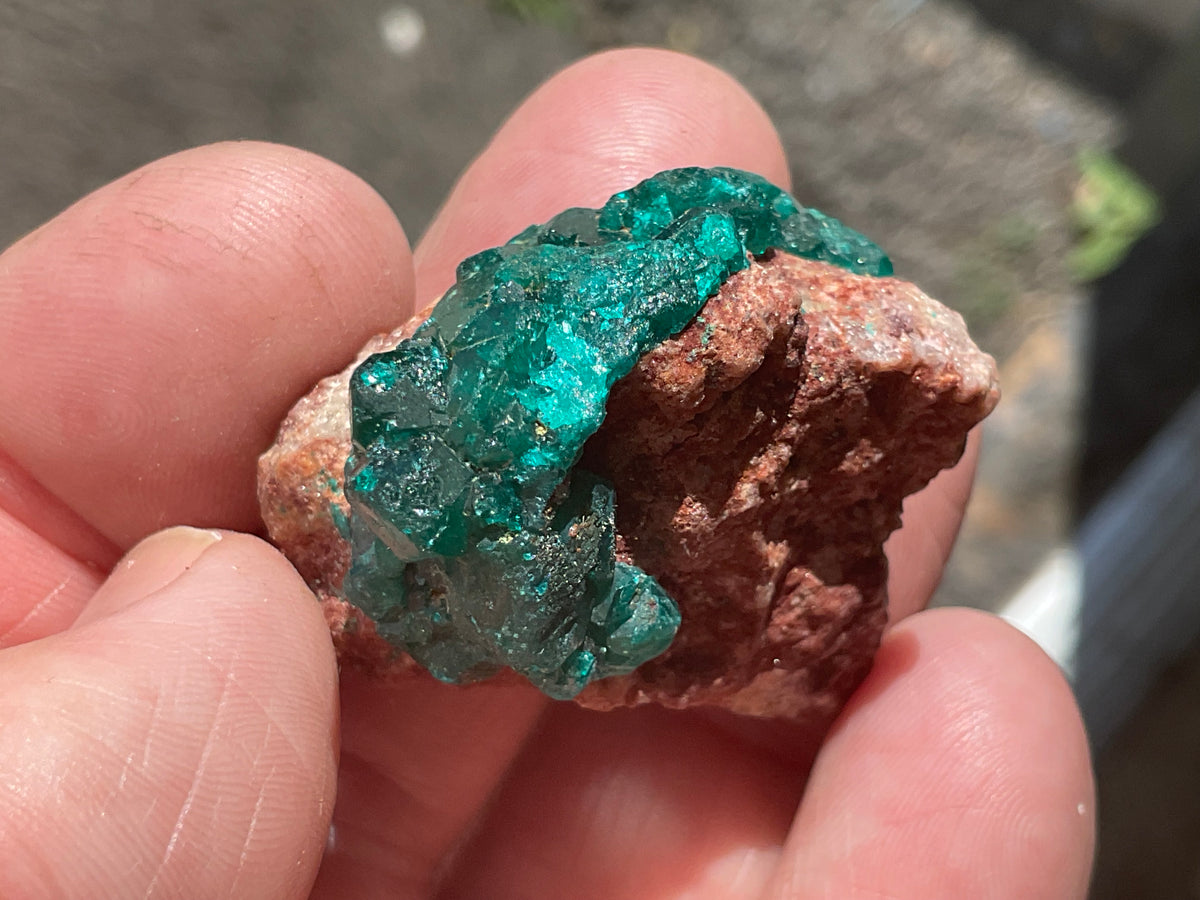 24g Congolese Dioptase Specimen 18C