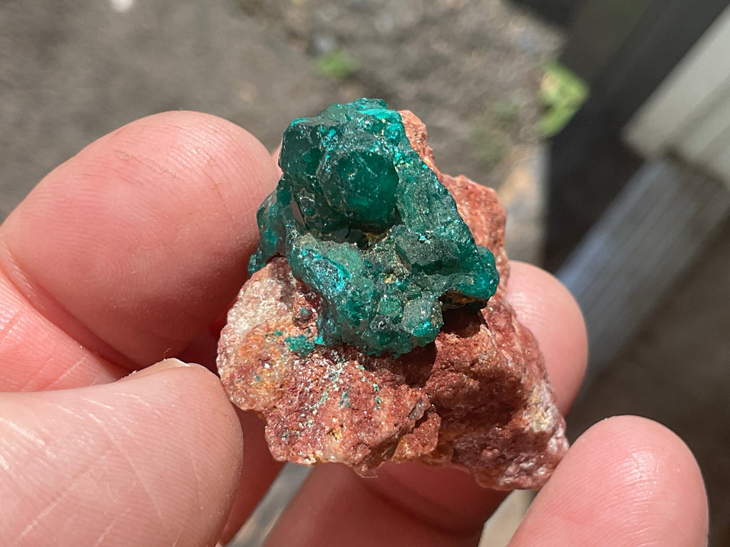 24g Congolese Dioptase Specimen 18C