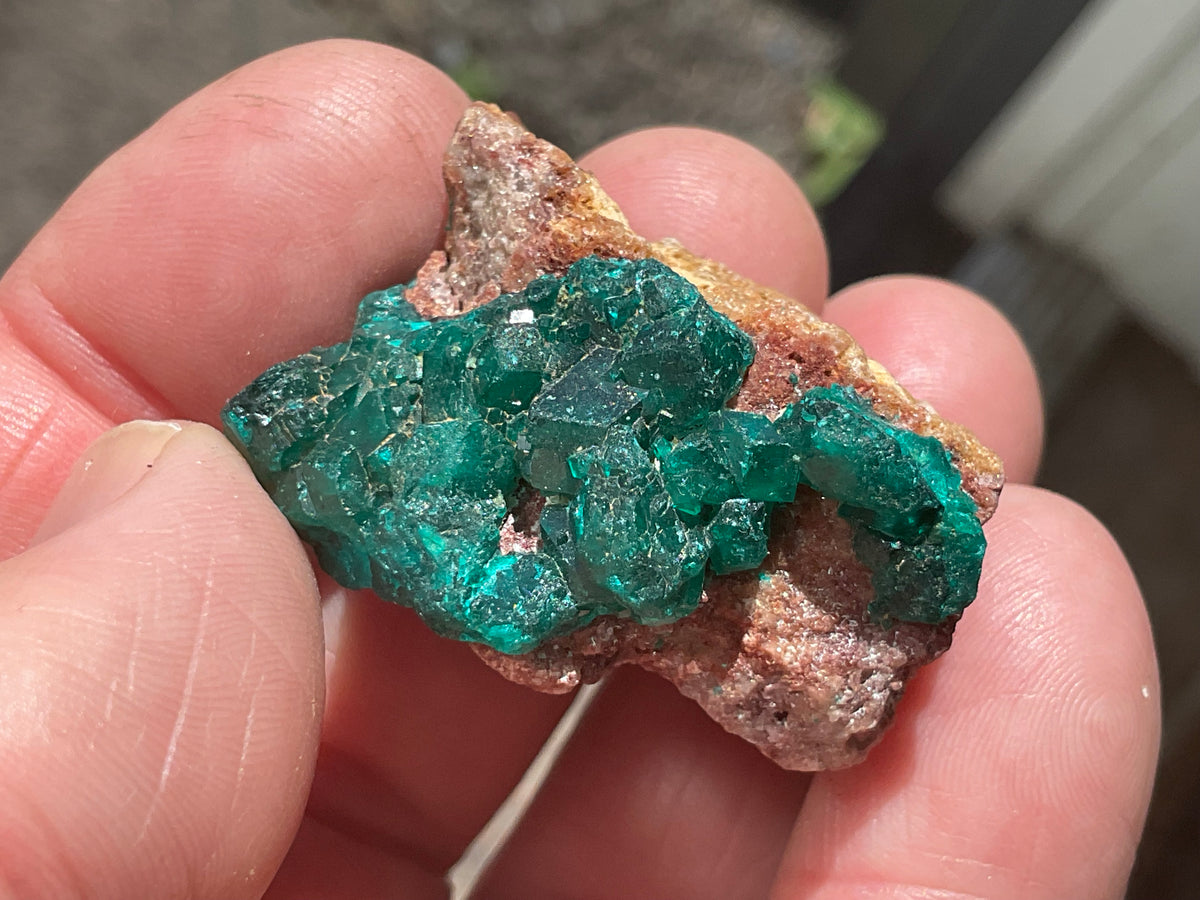 24g Congolese Dioptase Specimen 18C