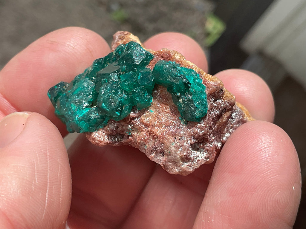 24g Congolese Dioptase Specimen 18C