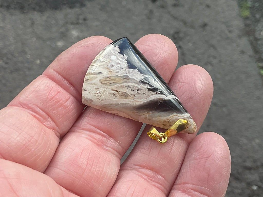 Indonesian Fossilised Palm Tree Pendants 1A