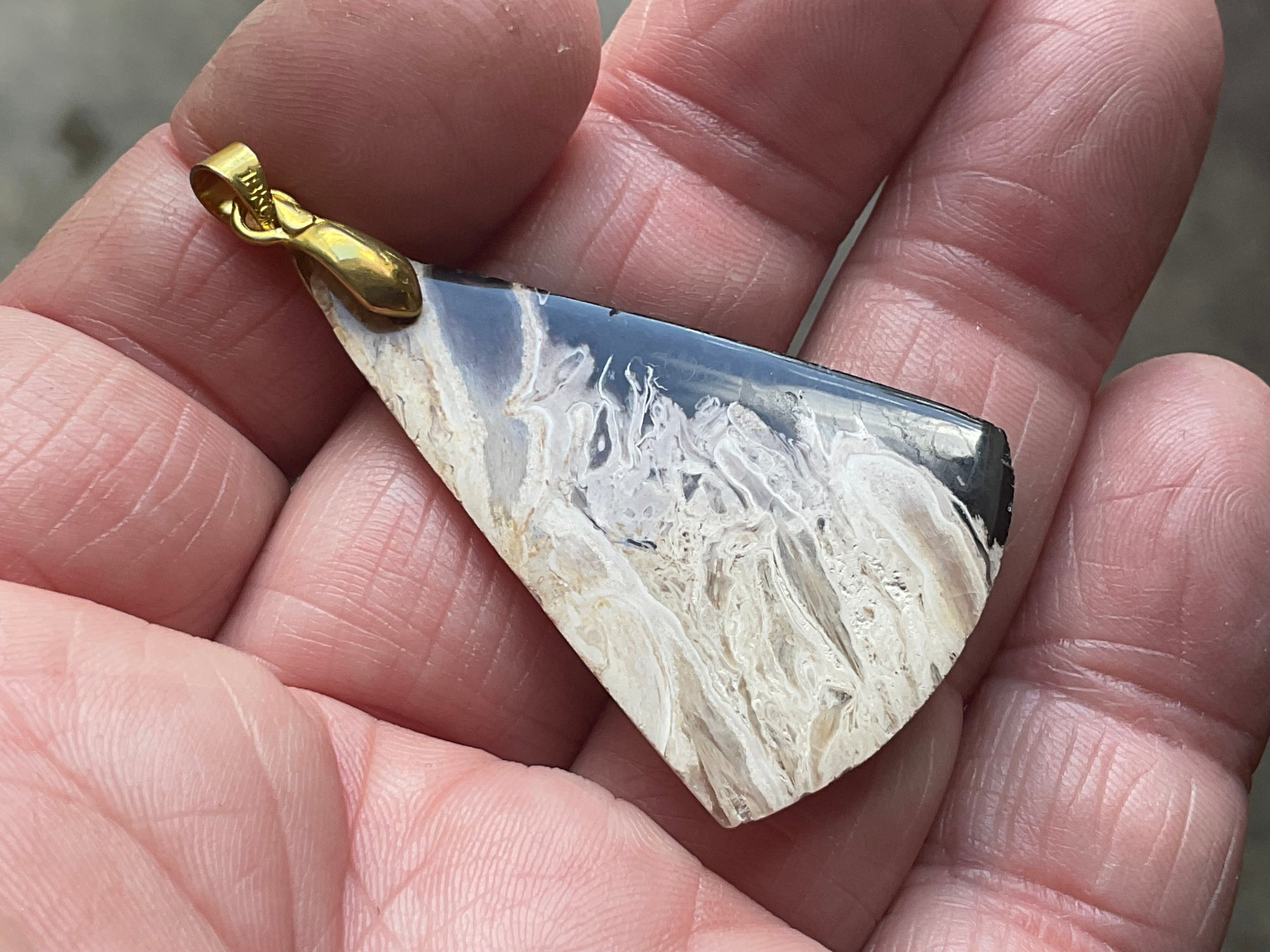 Indonesian Fossilised Palm Tree Pendants 1A