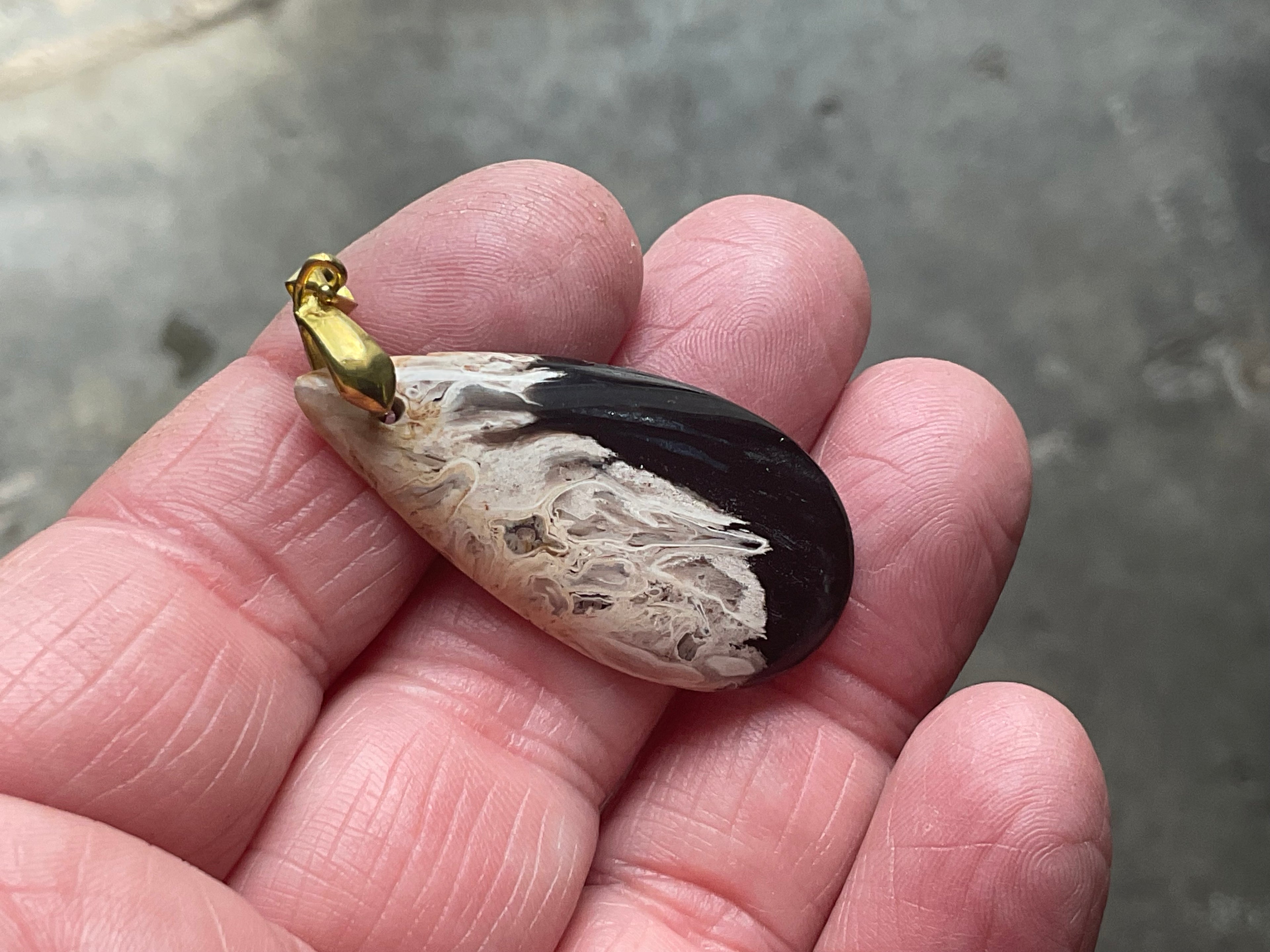 Indonesian Fossilised Palm Tree Pendant 3A
