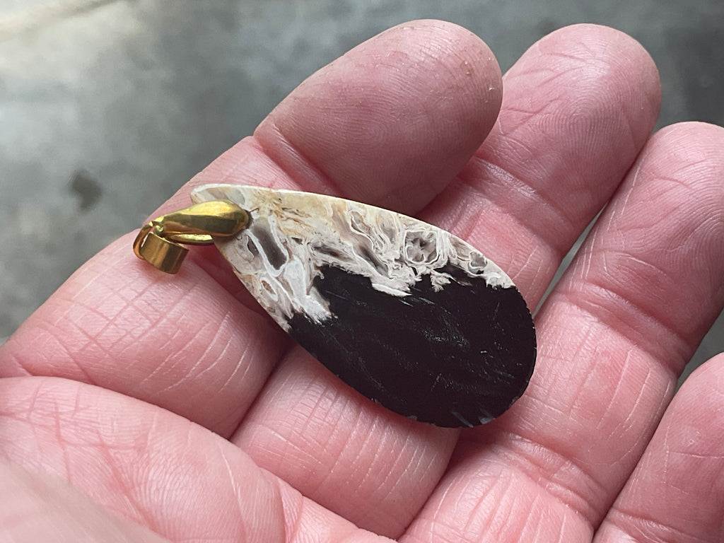 Indonesian Fossilised Palm Tree Pendant 3A