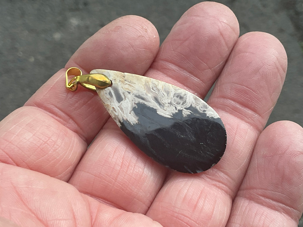 Indonesian Fossilised Palm Tree Pendant 3A
