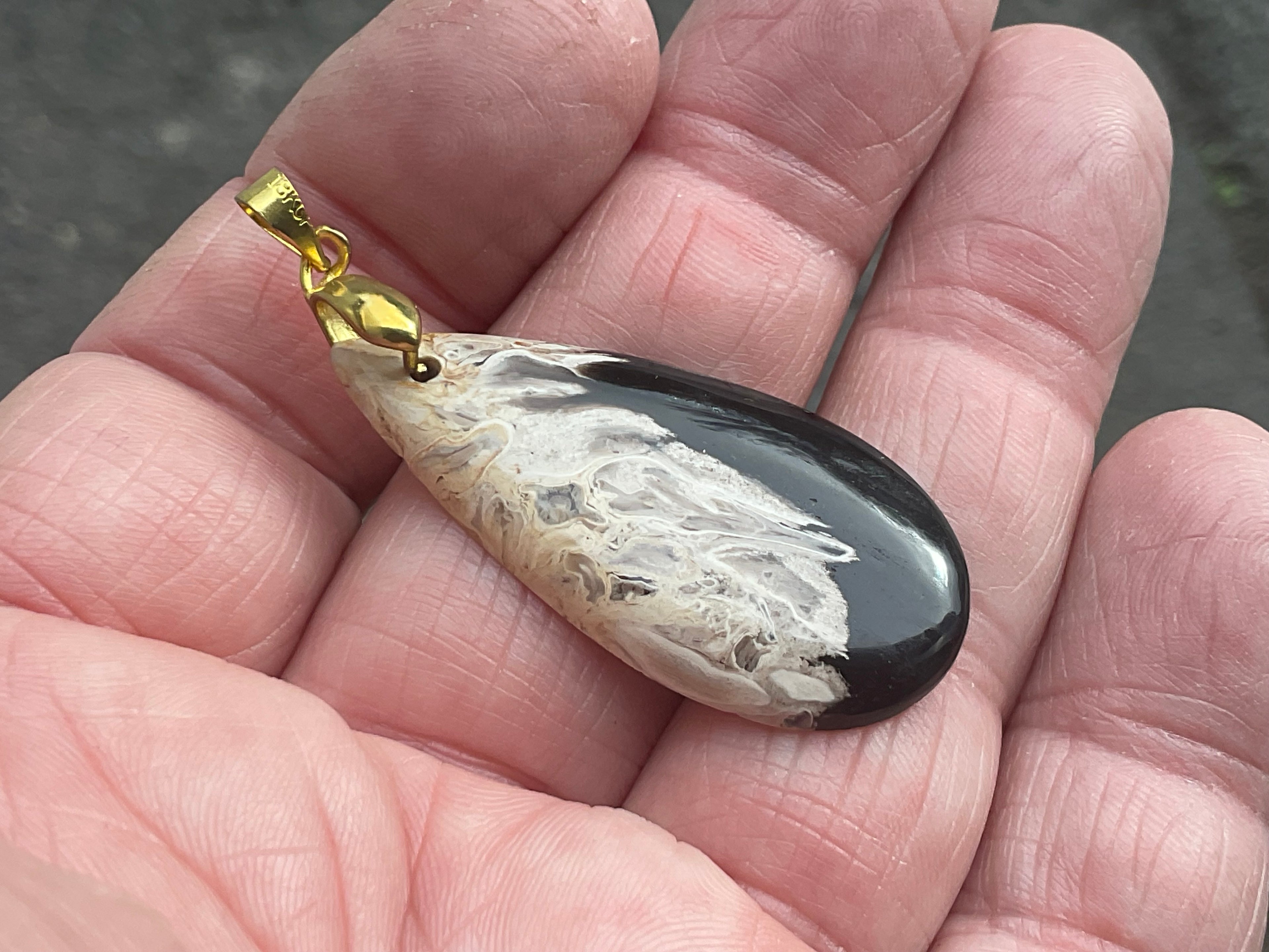 Indonesian Fossilised Palm Tree Pendant 3A