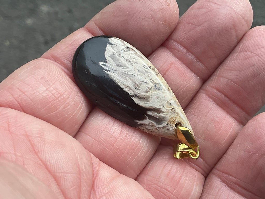 Indonesian Fossilised Palm Tree Pendant 3A