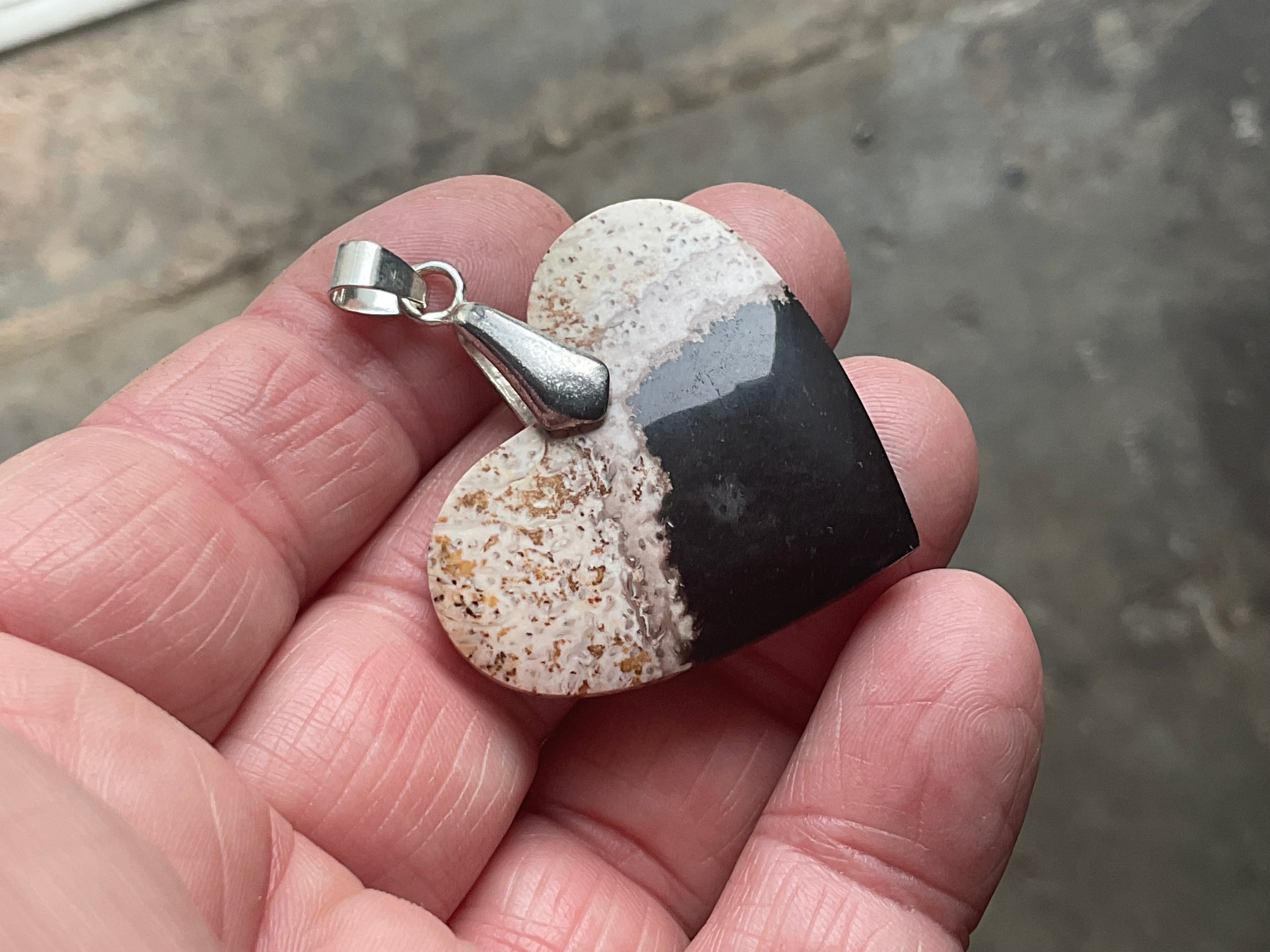 Indonesian Fossilised Palm Tree Pendant 5A