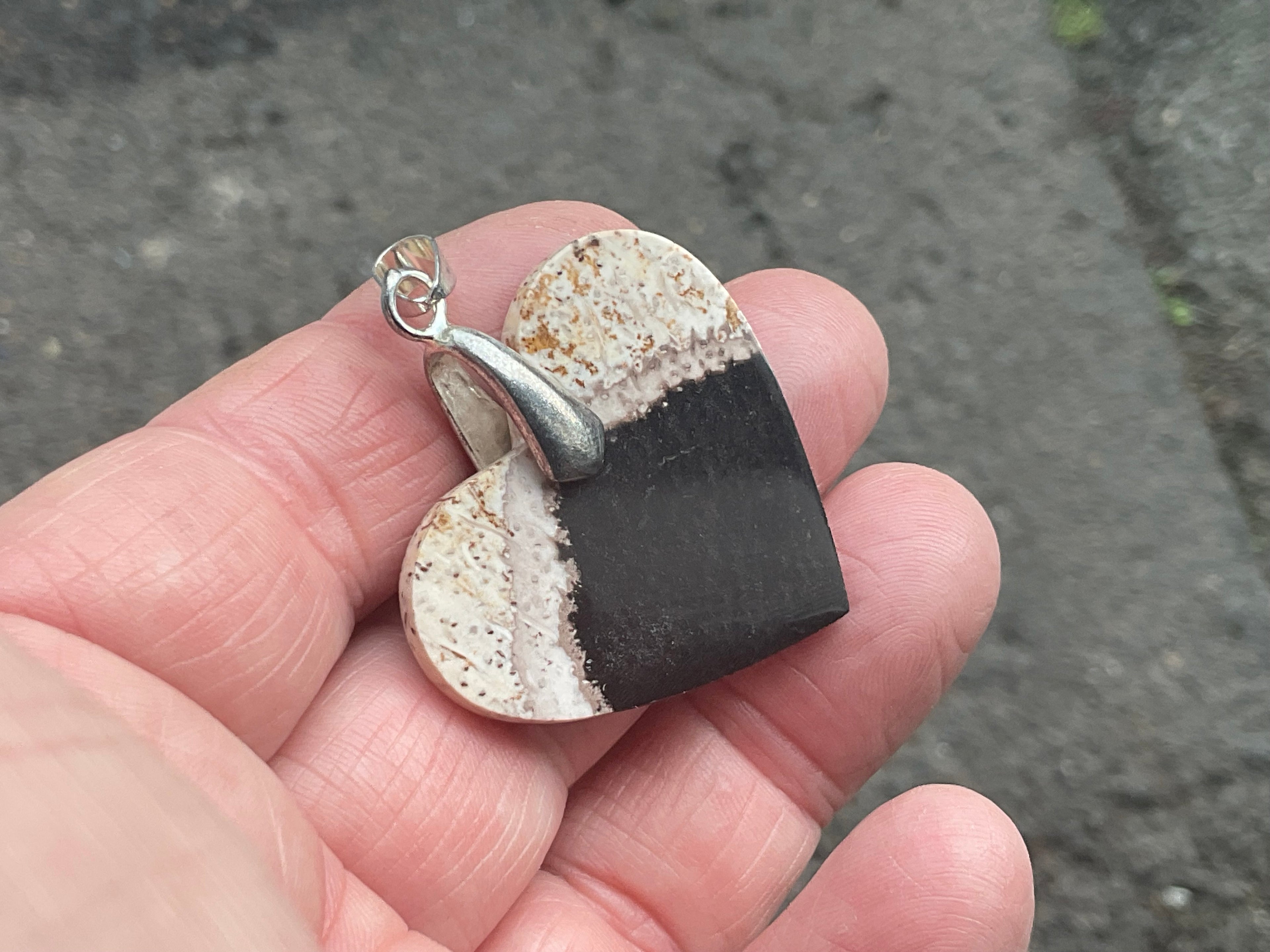 Indonesian Fossilised Palm Tree Pendant 5A