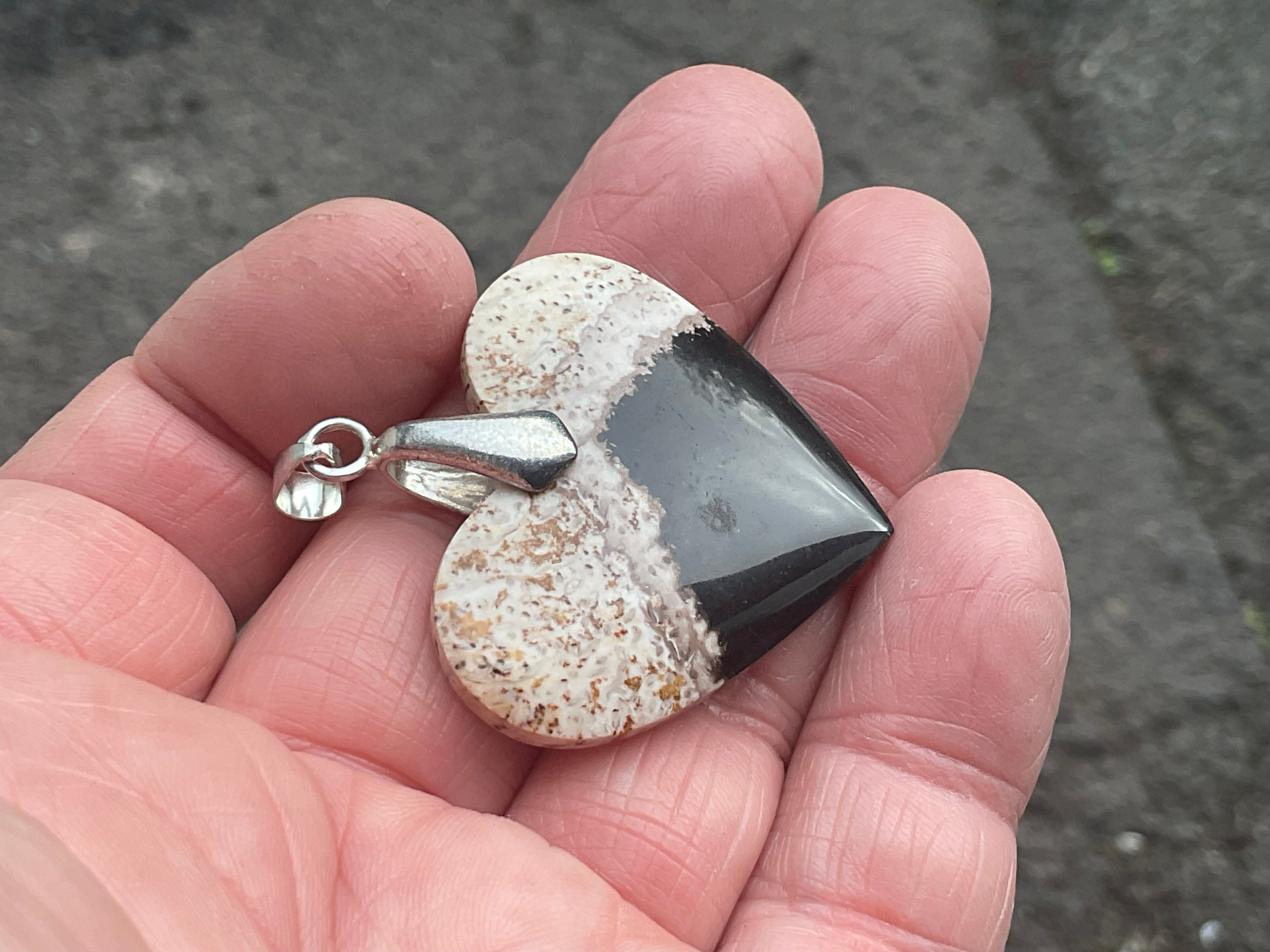 Indonesian Fossilised Palm Tree Pendant 5A