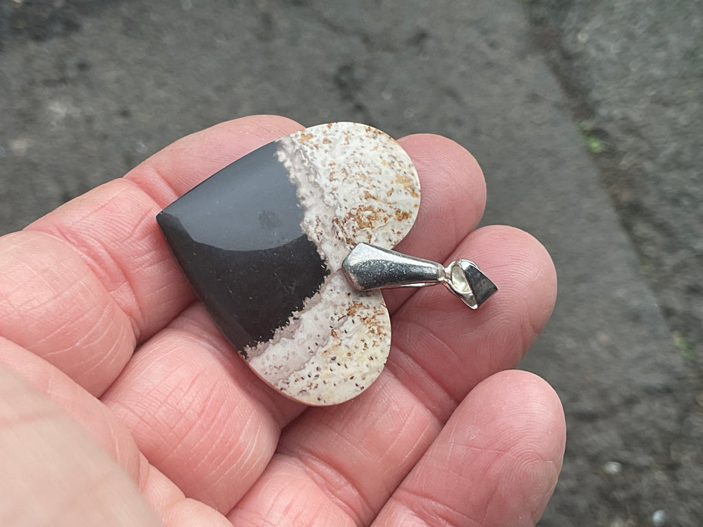 Indonesian Fossilised Palm Tree Pendant 5A