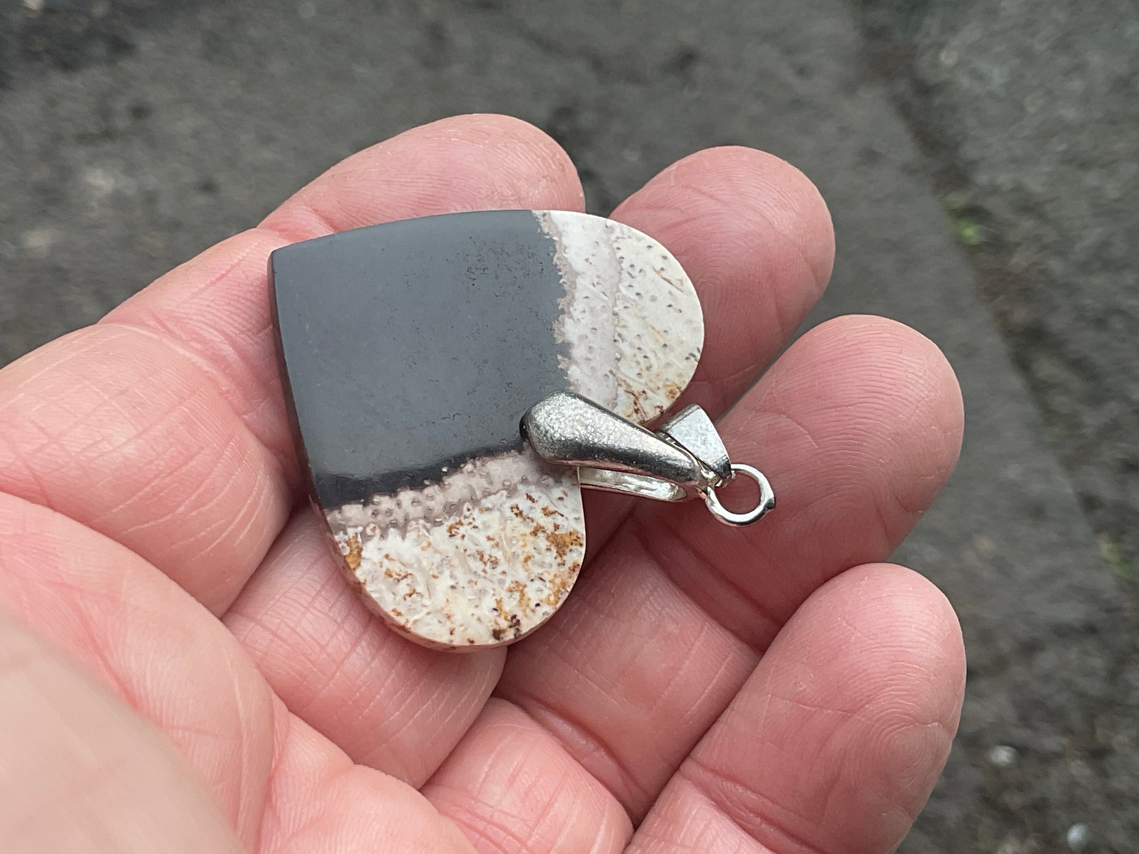 Indonesian Fossilised Palm Tree Pendant 5A