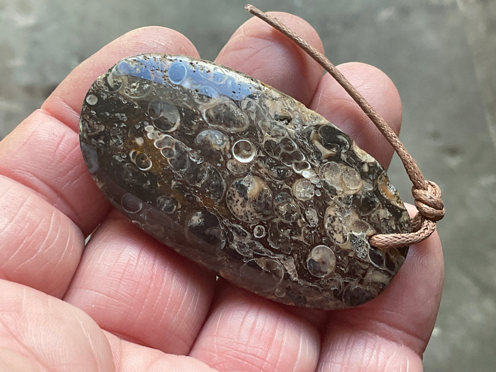 28g Large Turitella Agate Polished Pendant 1B