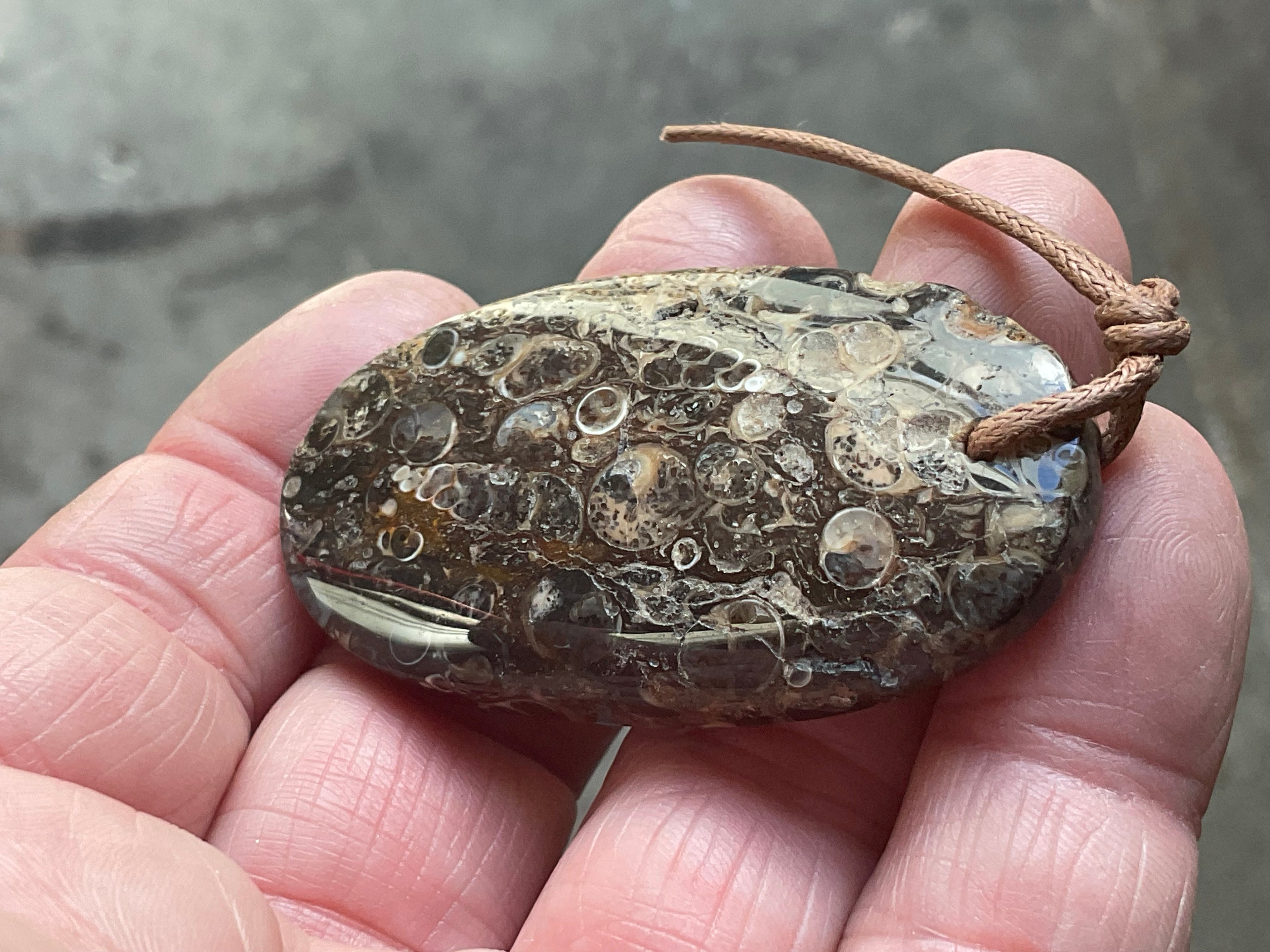 28g Large Turitella Agate Polished Pendant 1B