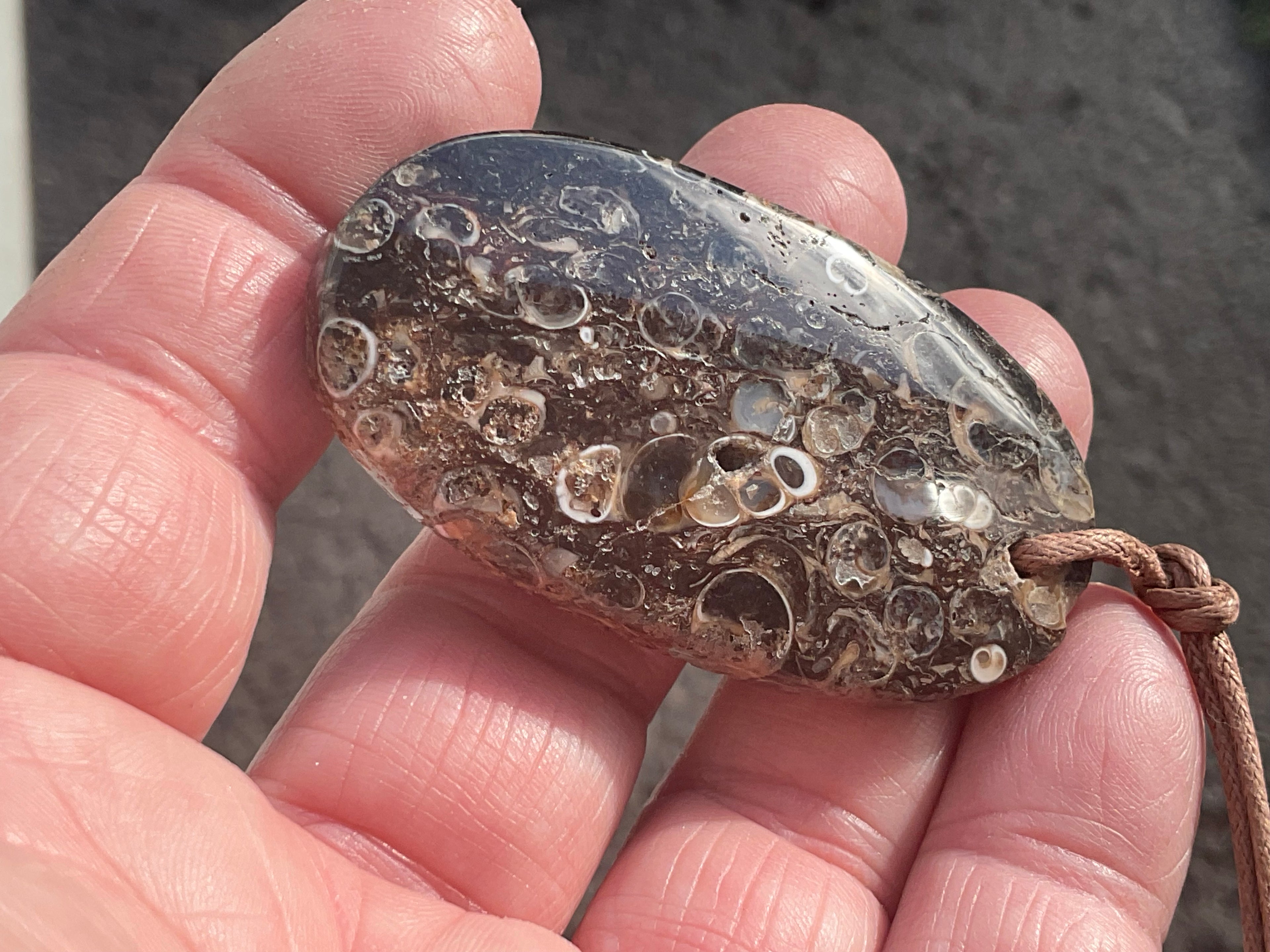 28g Large Turitella Agate Polished Pendant 1B