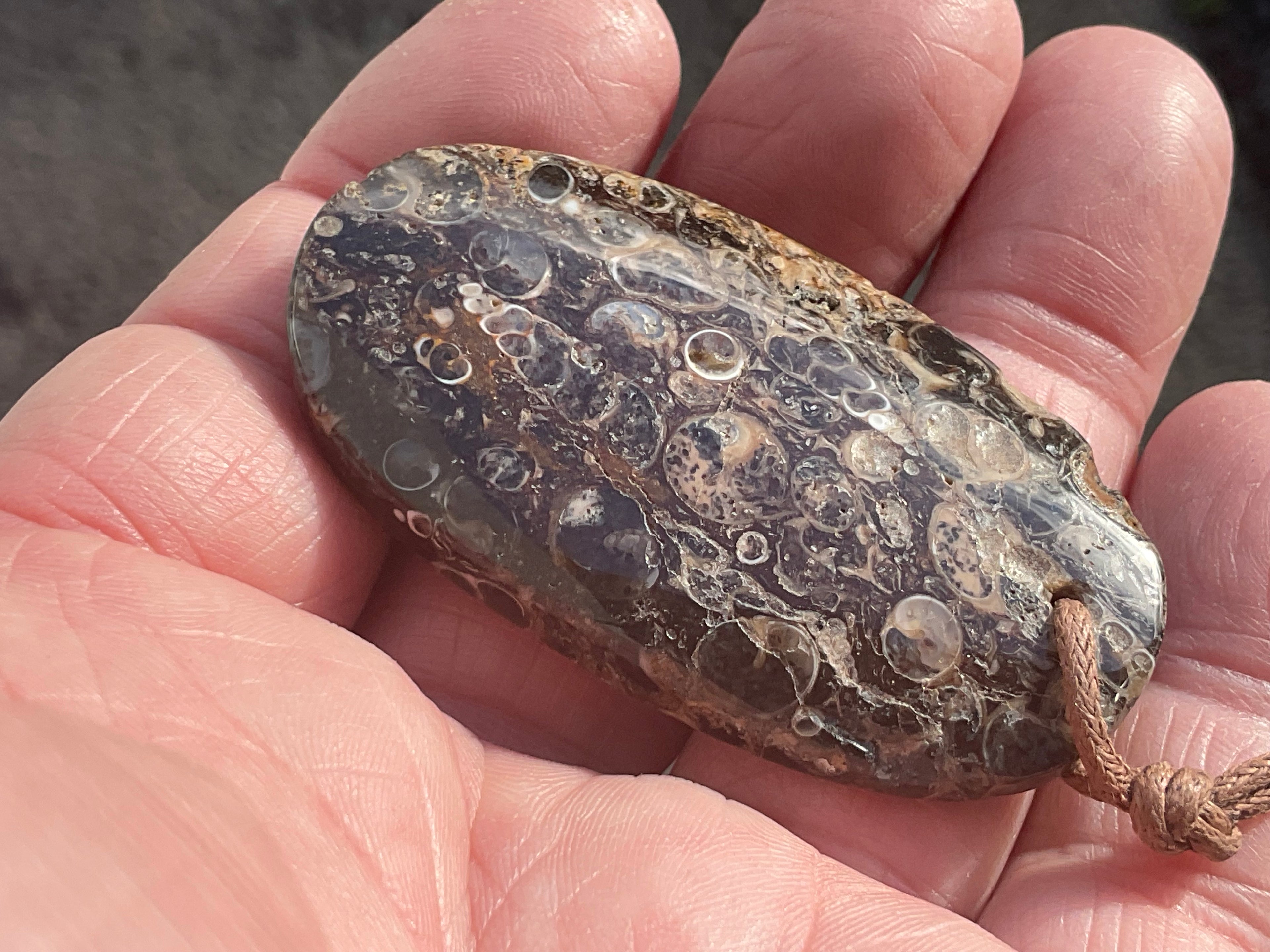 28g Large Turitella Agate Polished Pendant 1B
