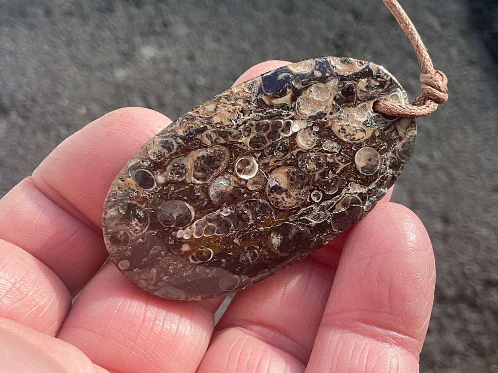 28g Large Turitella Agate Polished Pendant 1B