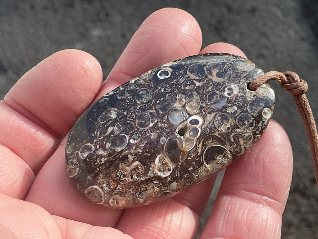 28g Large Turitella Agate Polished Pendant 1B