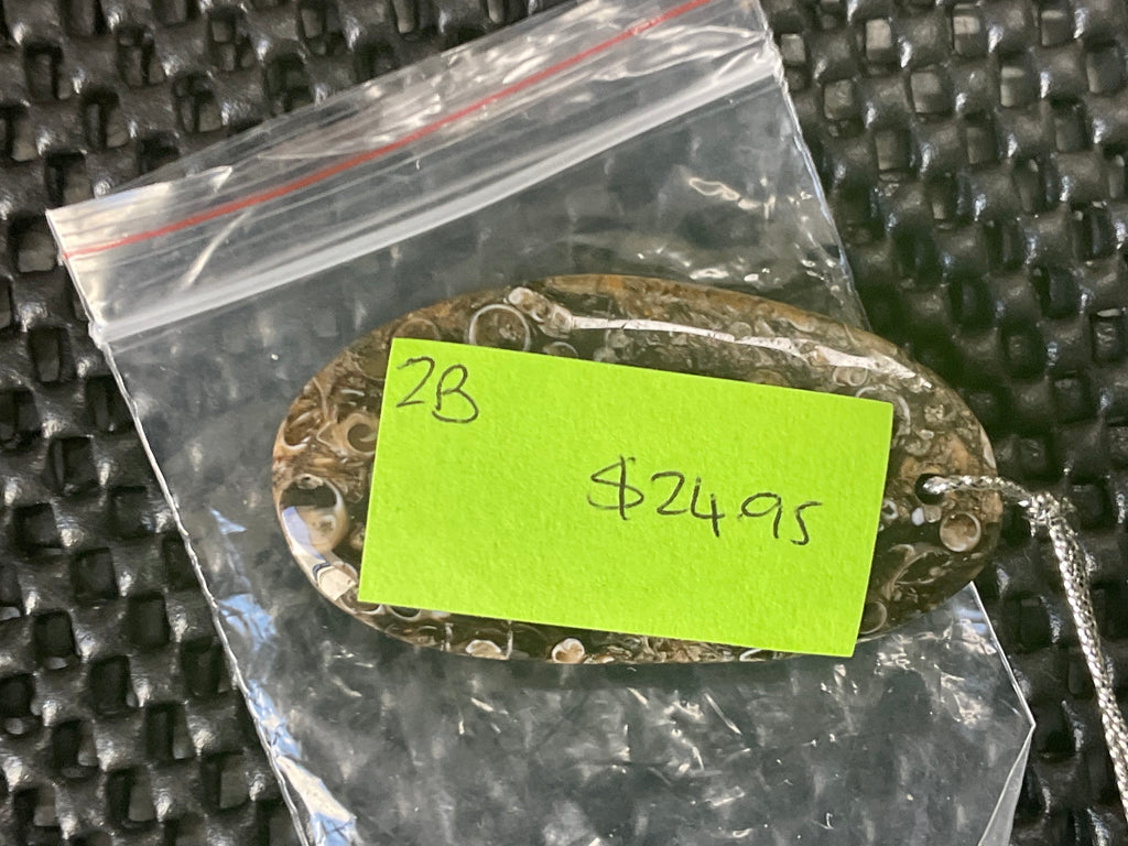 26g Large Turitella Agate Polished Pendant 2A