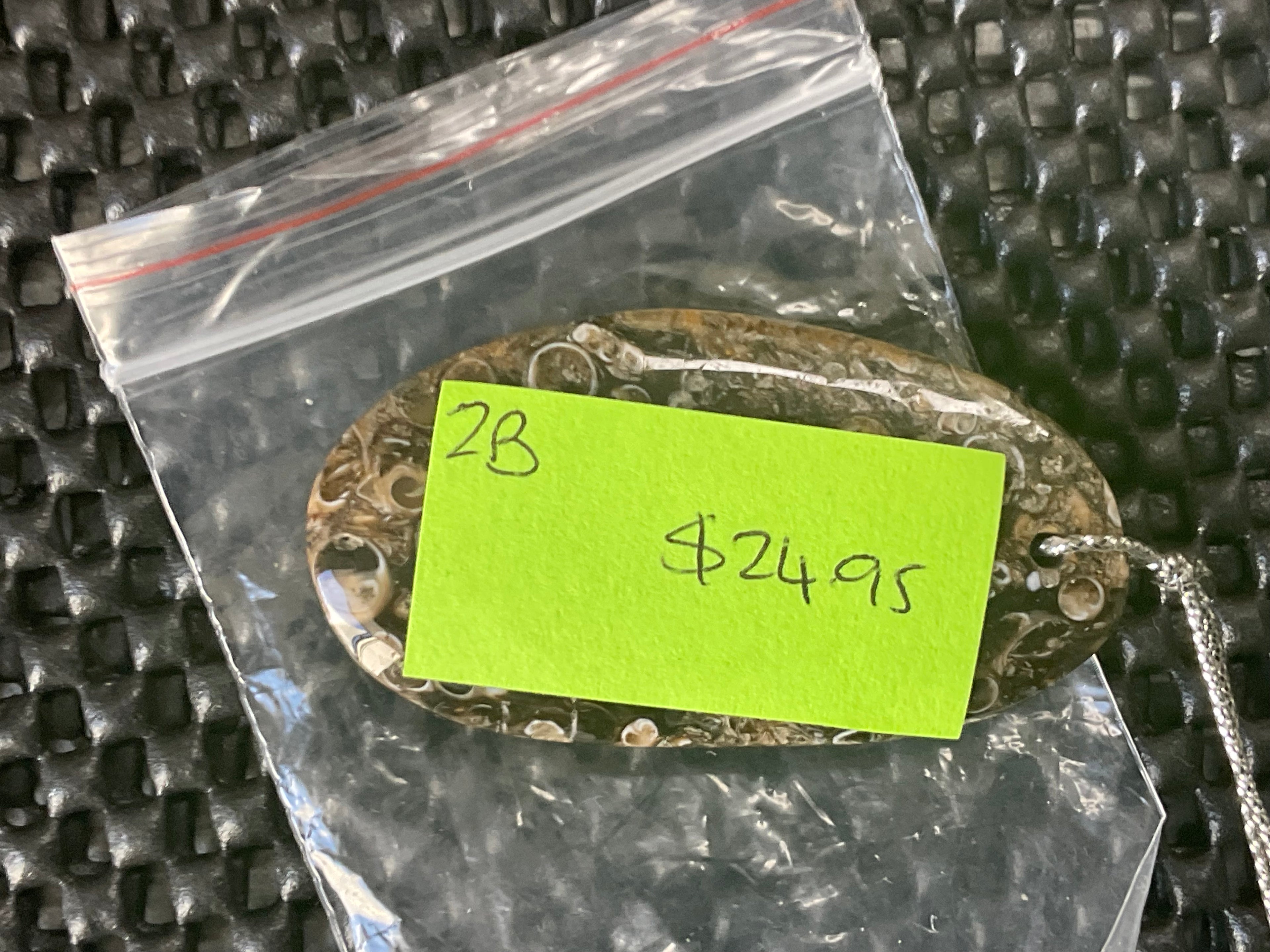 26g Large Turitella Agate Polished Pendant 2A