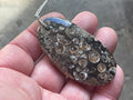 28g Large Turitella Agate Polished Pendant 2B