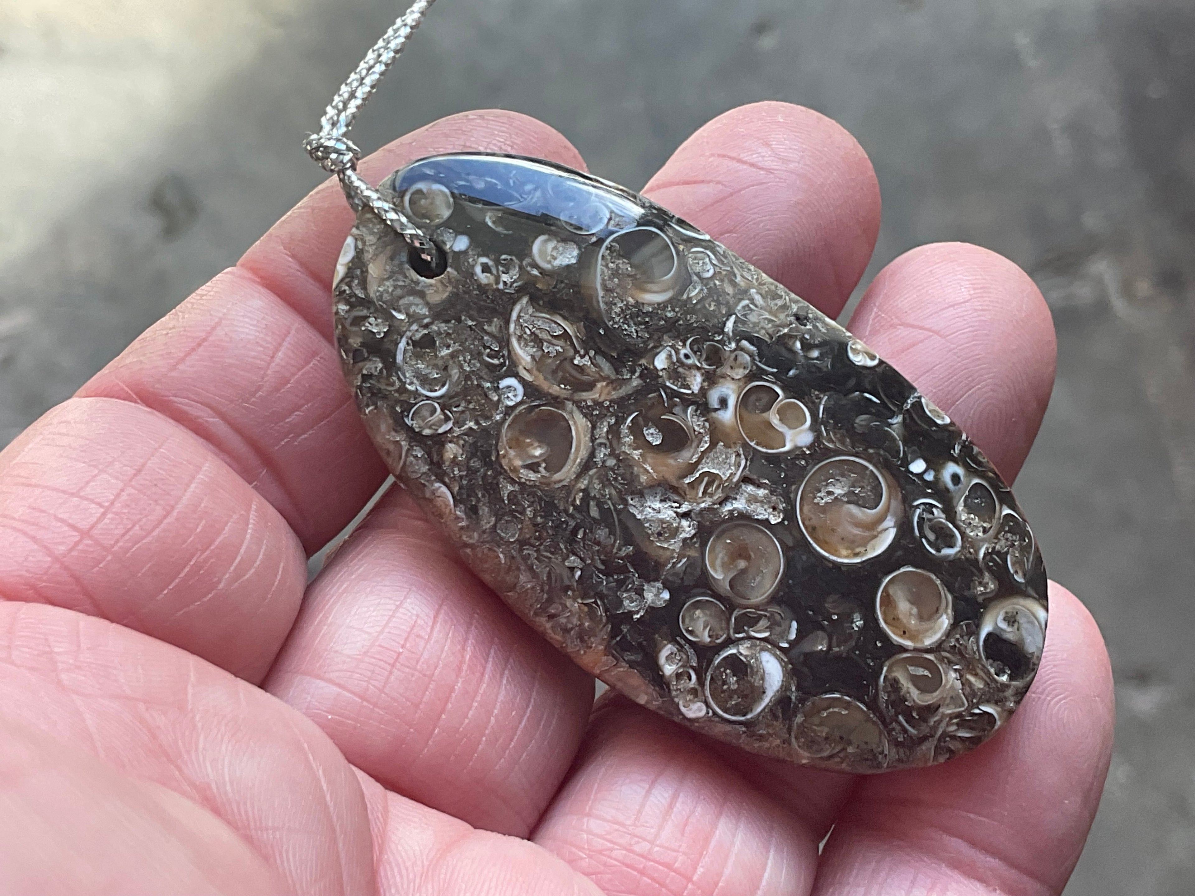 28g Large Turitella Agate Polished Pendant 2B