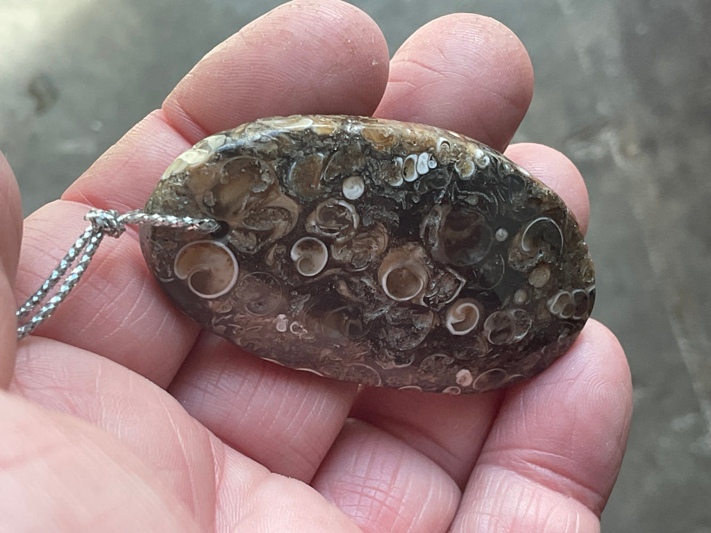 28g Large Turitella Agate Polished Pendant 2B