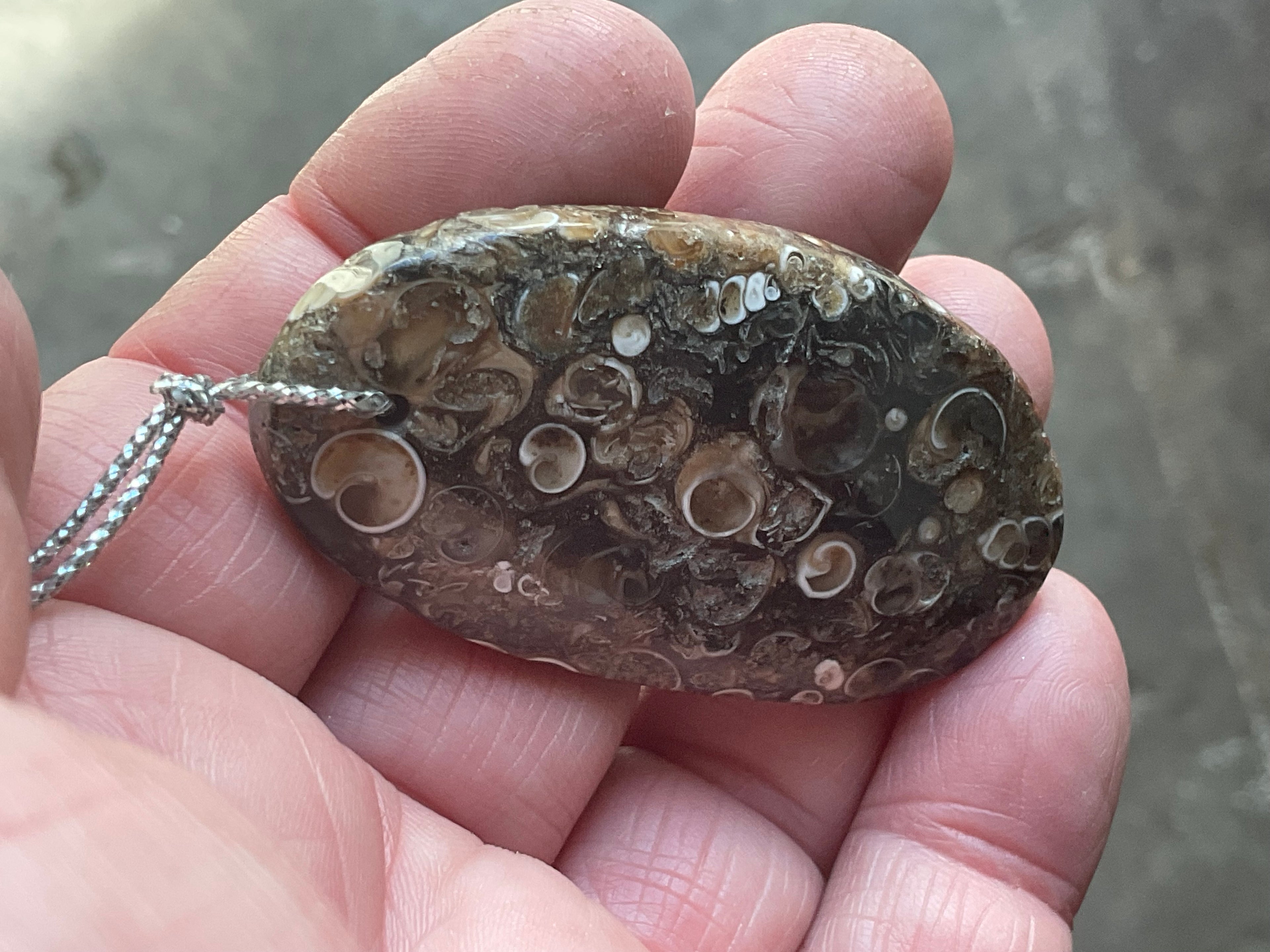 28g Large Turitella Agate Polished Pendant 2B